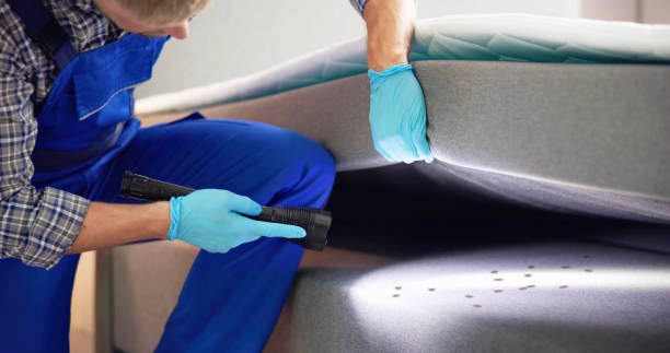 Best Emergency Pest Control  in West Salem, WI