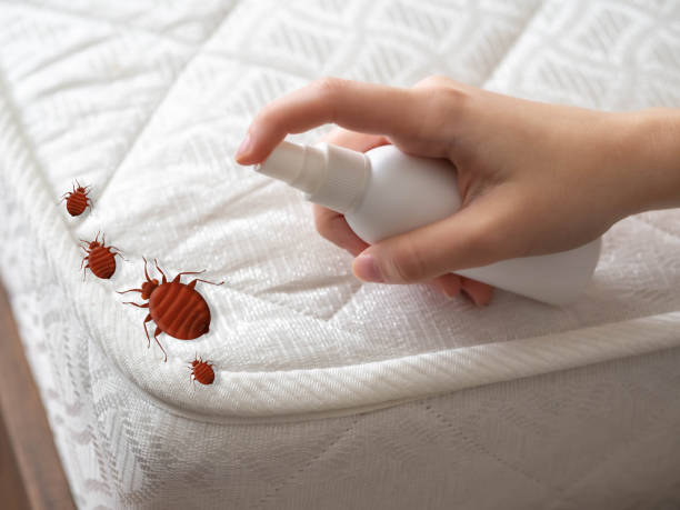 Best Insect Control  in West Salem, WI