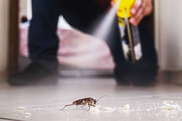 Best Pest Control Treatment  in West Salem, WI