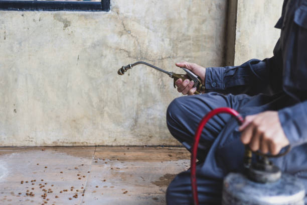 Best Commercial Pest Control Services  in West Salem, WI